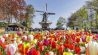 Bloemenpark Keukenhof 2025 - Openingstijden, Prijzen En Parkeren