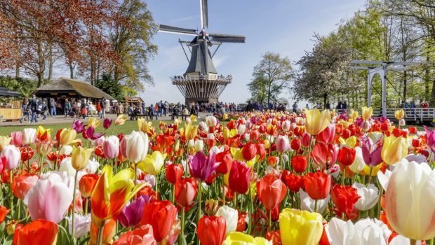 Keukenhof Gardens