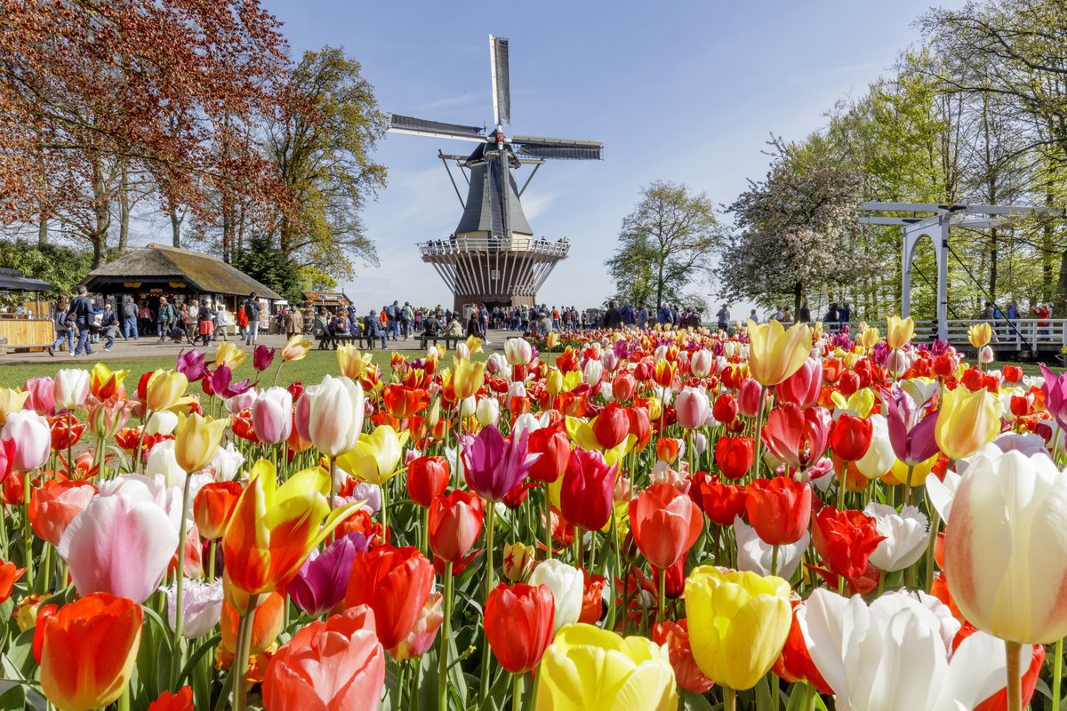 Keukenhof Parque de Flores (Amsterdam, Holanda) - Horarios, precios