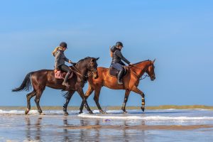 Paardrijden op het strand in Noordwijk Katwijk