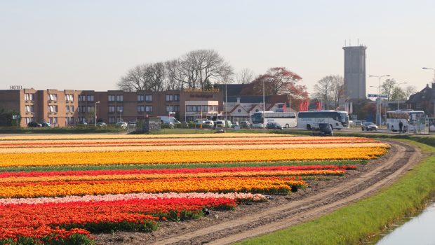 Hotel near tulip fields Holland