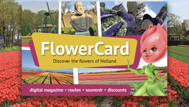 discount Keukenhof FlowerCard