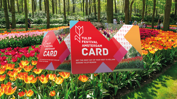 Tulip Festival Card