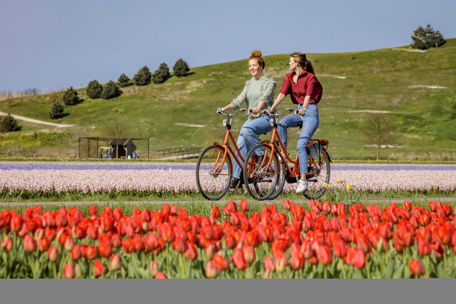 Fietsroutes In De Bollenstreek