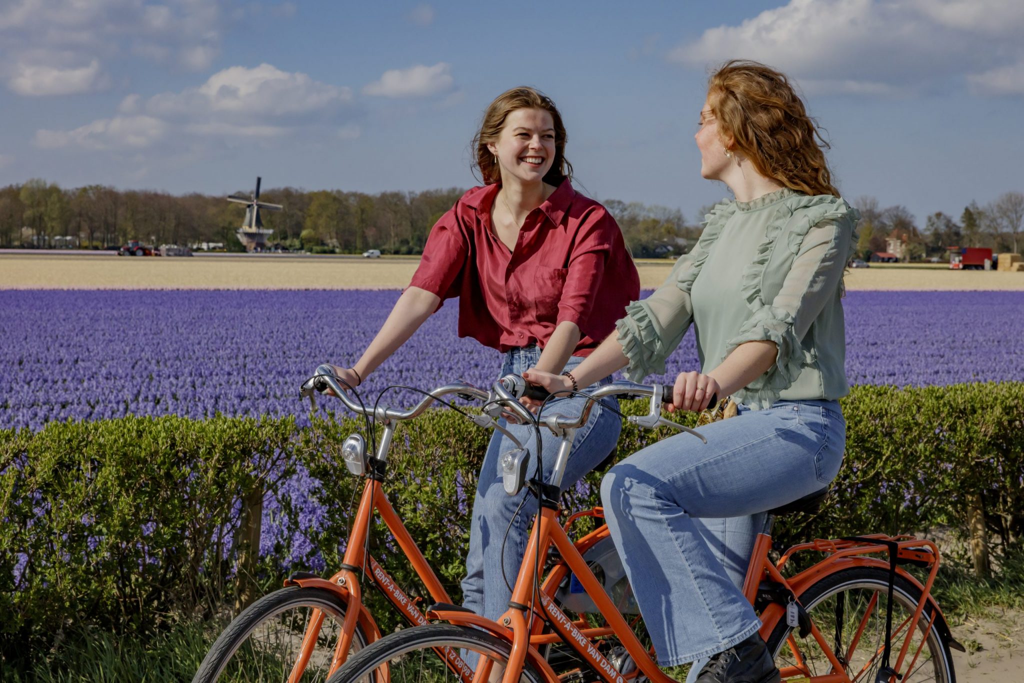 Vier De Lente In De Bollenstreek | Geniet Van De Bloeiende Bloemen