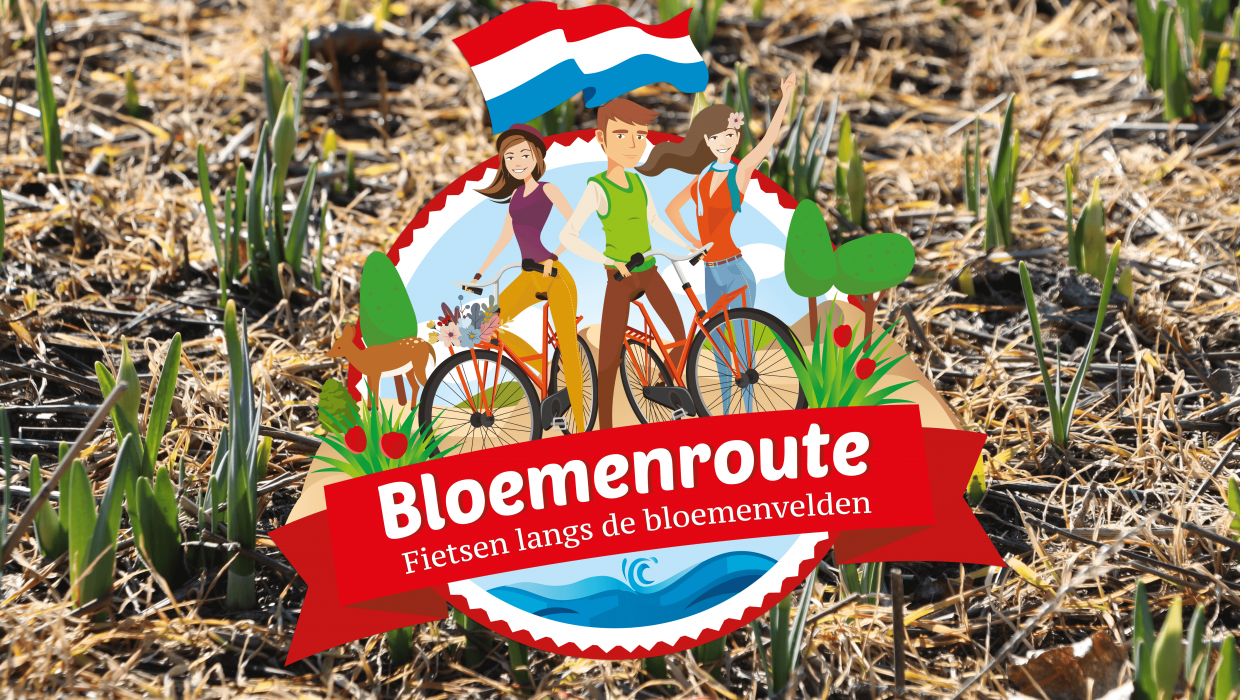 Bollenstreek Bloemenroute: De Fietsroute Langs De Lente- Of Zomerbloemen