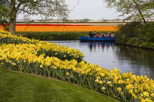 Keukenhof boat tour tulip fields