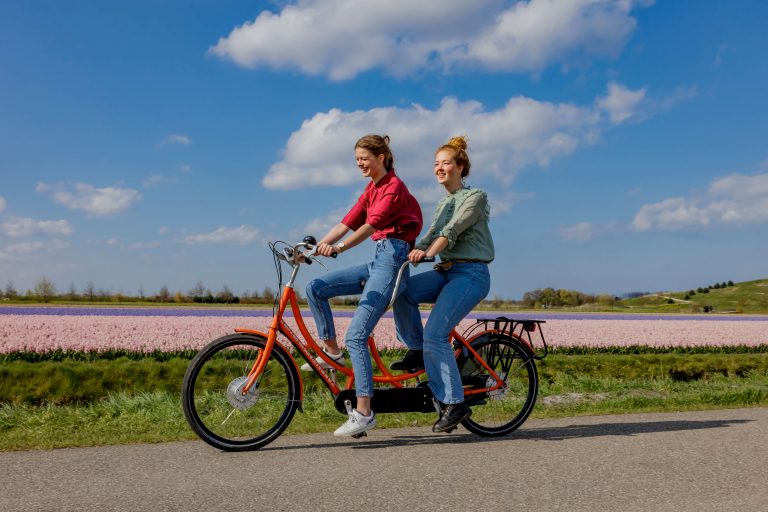 Hollandse Bloemenroute: De Fietsroute Langs De Lente- Of Zomerbloemen