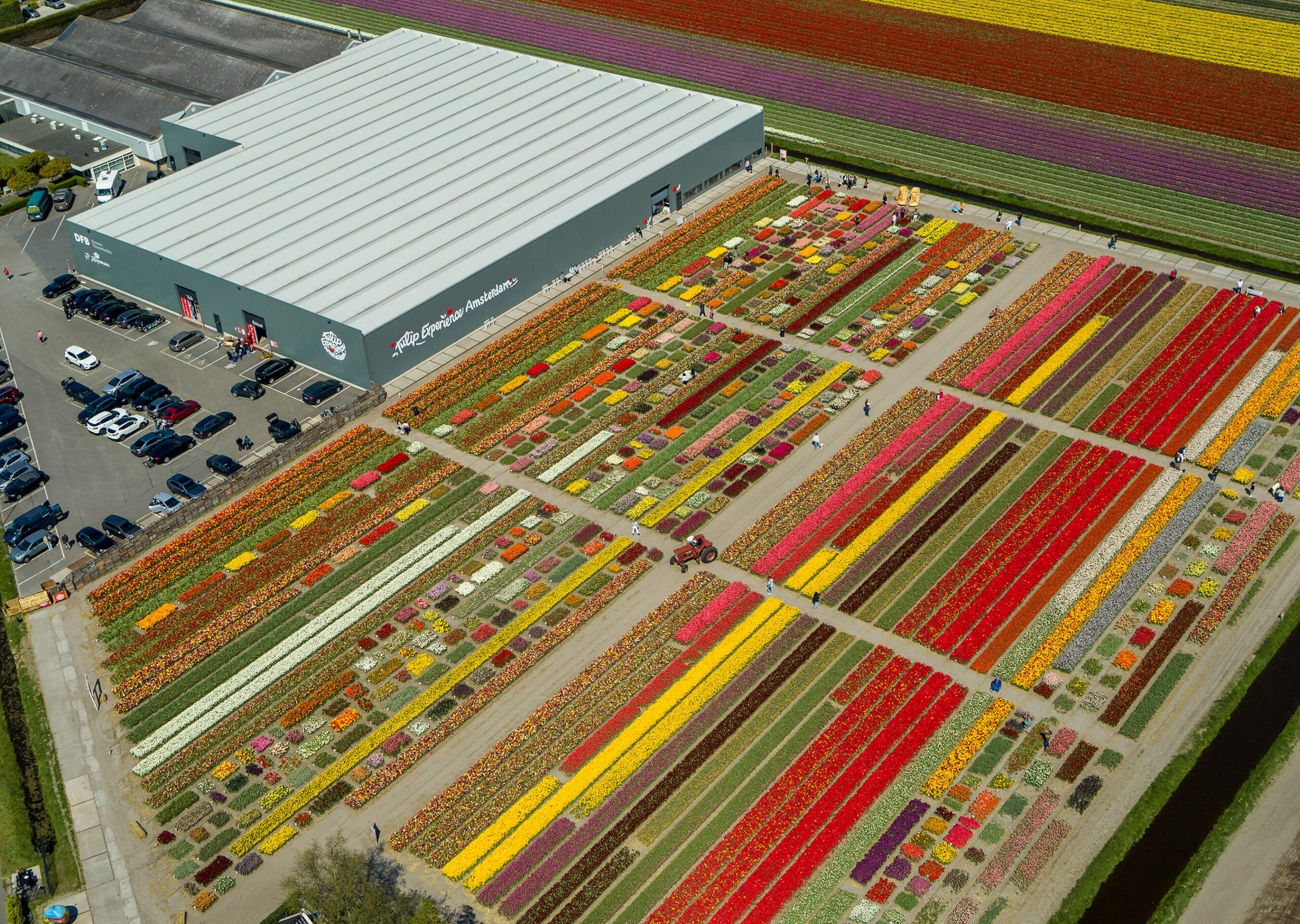 Tulip Experience Amsterdam tulpenmuseum showtuin pluktuin