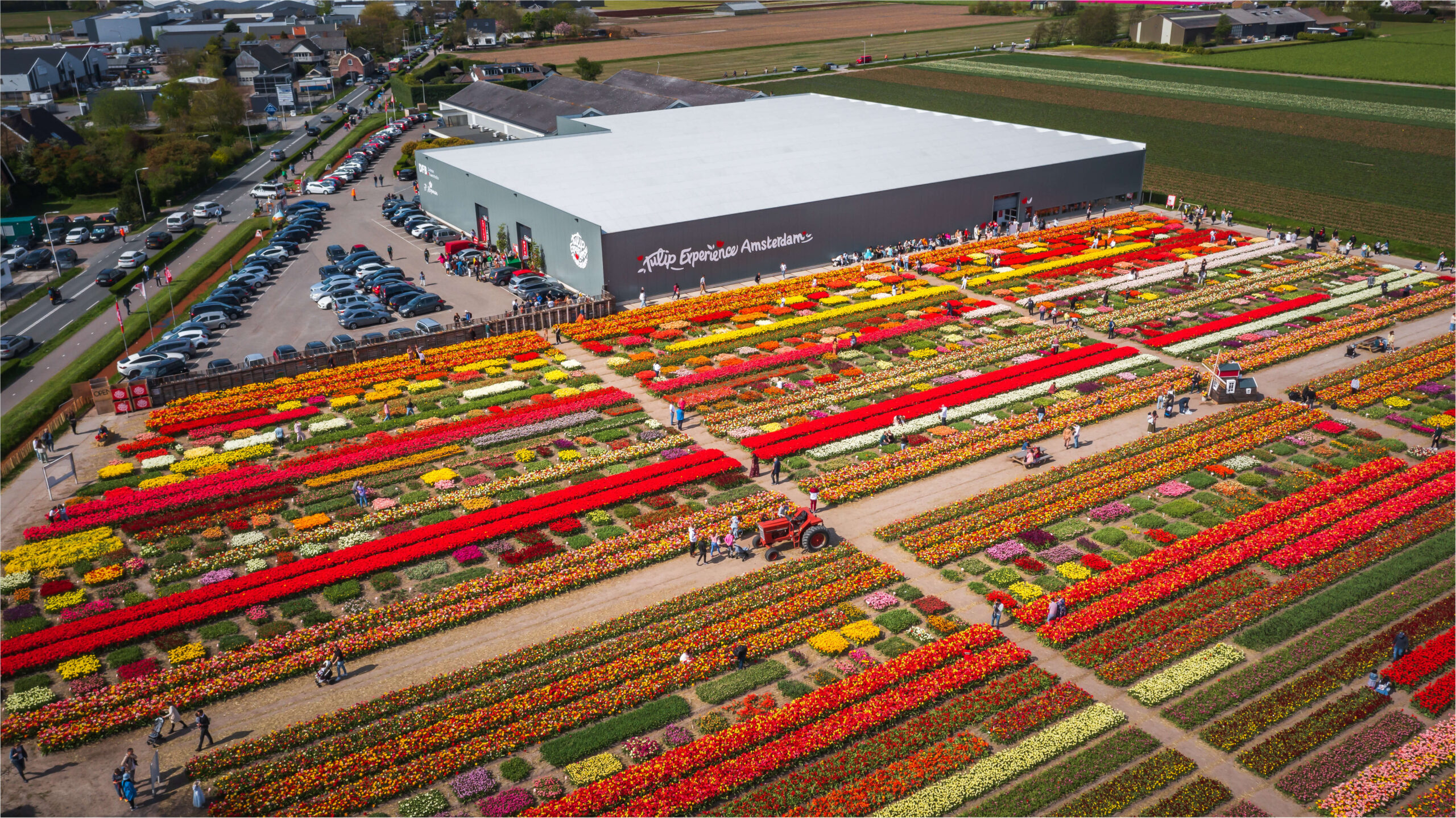 TULIPページ Tulip Experience | tulip museum | show garden | picking garden