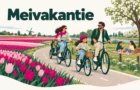 Meivakantie – illustratie van een gezin dat langs bloeiende tulpenvelden en een molen in de Bollenstreek fietst